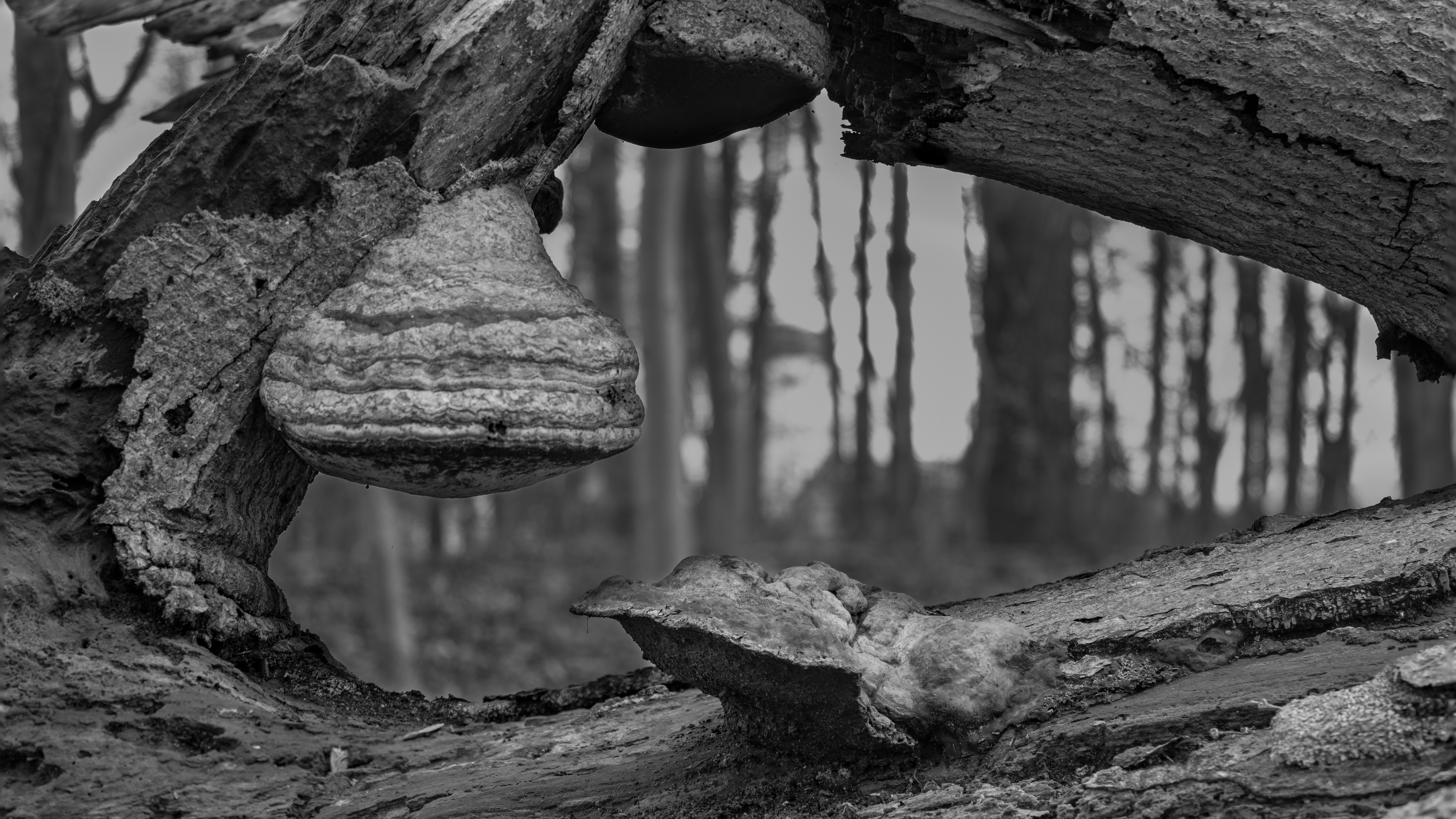 20240224 img 4646 edit 2